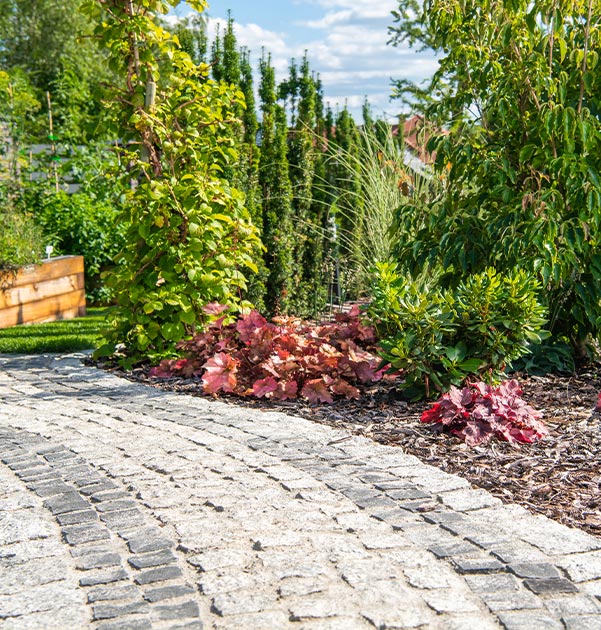 Garden Image | Davacon Tarmacadam & Groundworks